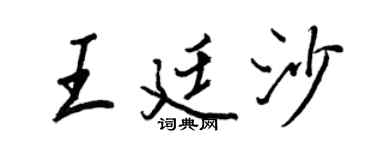 王正良王廷沙行书个性签名怎么写