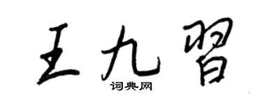 王正良王九习行书个性签名怎么写