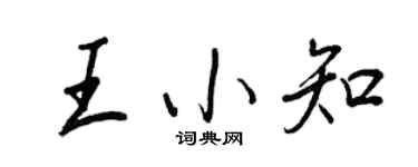 王正良王小知行书个性签名怎么写