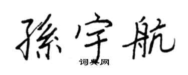 王正良孙宇航行书个性签名怎么写