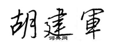 王正良胡建军行书个性签名怎么写