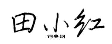 王正良田小红行书个性签名怎么写