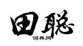 胡问遂田聪行书个性签名怎么写