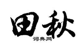 胡问遂田秋行书个性签名怎么写