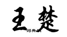 胡问遂王楚行书个性签名怎么写