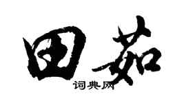 胡问遂田茹行书个性签名怎么写