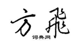 王正良方飞行书个性签名怎么写