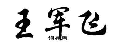 胡问遂王军飞行书个性签名怎么写