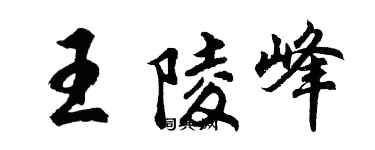 胡问遂王陵峰行书个性签名怎么写