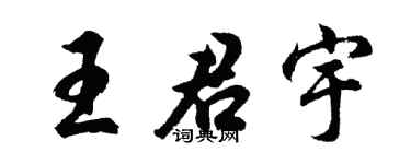 胡问遂王君宇行书个性签名怎么写