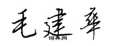 王正良毛建华行书个性签名怎么写