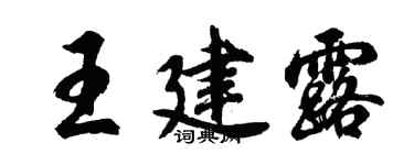 胡问遂王建露行书个性签名怎么写