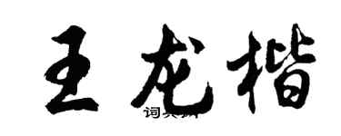 胡问遂王龙楷行书个性签名怎么写