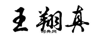 胡问遂王翔真行书个性签名怎么写