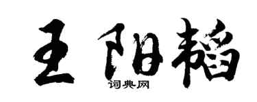 胡问遂王阳韬行书个性签名怎么写