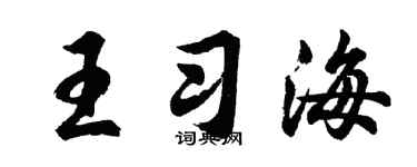 胡问遂王习海行书个性签名怎么写