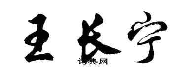 胡问遂王长宁行书个性签名怎么写