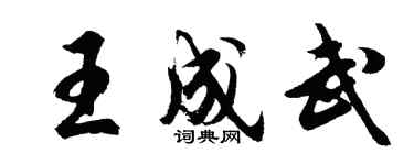 胡问遂王成武行书个性签名怎么写