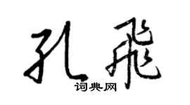 王正良孔飞行书个性签名怎么写