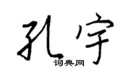 王正良孔宇行书个性签名怎么写