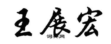 胡问遂王展宏行书个性签名怎么写