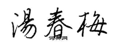 王正良汤春梅行书个性签名怎么写