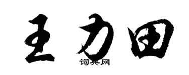 胡问遂王力田行书个性签名怎么写