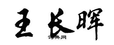 胡问遂王长晖行书个性签名怎么写