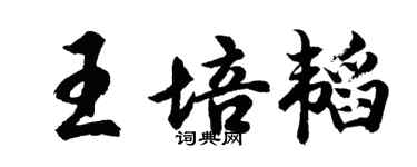 胡问遂王培韬行书个性签名怎么写