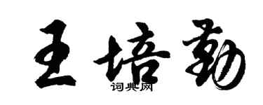 胡问遂王培勤行书个性签名怎么写