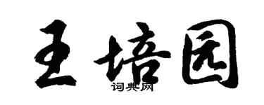 胡问遂王培园行书个性签名怎么写