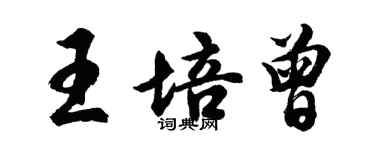 胡问遂王培曾行书个性签名怎么写
