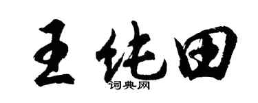 胡问遂王纯田行书个性签名怎么写