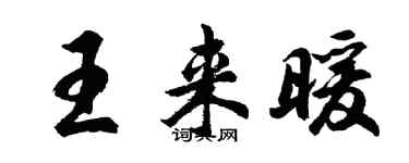 胡问遂王来暖行书个性签名怎么写