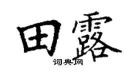 丁谦田露楷书个性签名怎么写