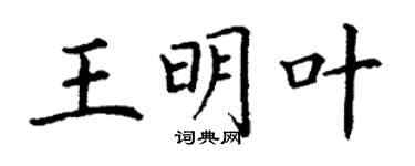 丁谦王明叶楷书个性签名怎么写