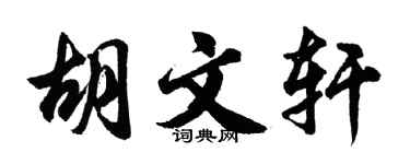 胡问遂胡文轩行书个性签名怎么写