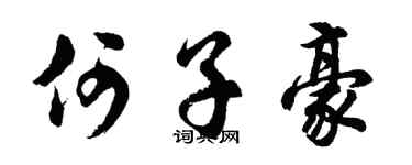 胡问遂何子豪行书个性签名怎么写