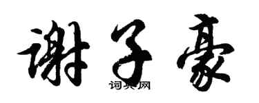 胡问遂谢子豪行书个性签名怎么写