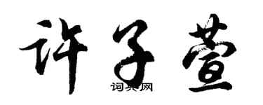 胡问遂许子萱行书个性签名怎么写