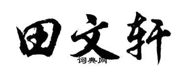 胡问遂田文轩行书个性签名怎么写