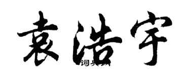 胡问遂袁浩宇行书个性签名怎么写