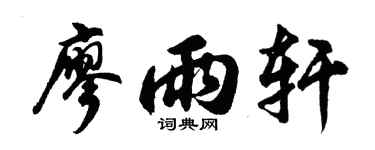 胡问遂廖雨轩行书个性签名怎么写