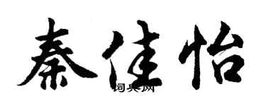 胡问遂秦佳怡行书个性签名怎么写