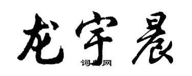 胡问遂龙宇晨行书个性签名怎么写