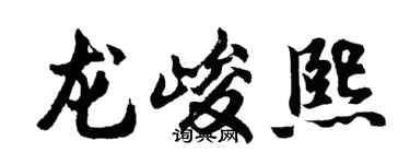 胡问遂龙峻熙行书个性签名怎么写