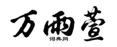 胡问遂万雨萱行书个性签名怎么写