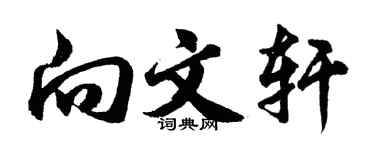 胡问遂向文轩行书个性签名怎么写