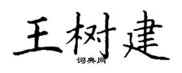 丁谦王树建楷书个性签名怎么写