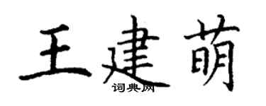 丁谦王建萌楷书个性签名怎么写